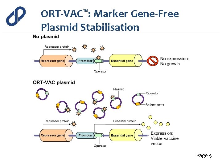 ORT-VAC™: Marker Gene-Free Plasmid Stabilisation Wild-type strain ORT-VAC strain (Vaxonella) Ptet. A dap. D