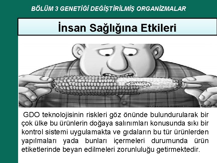 BÖLÜM 3 GENETİĞİ DEĞİŞTİRİLMİŞ ORGANİZMALAR İnsan Sağlığına Etkileri GDO teknolojisinin riskleri göz önünde bulundurularak