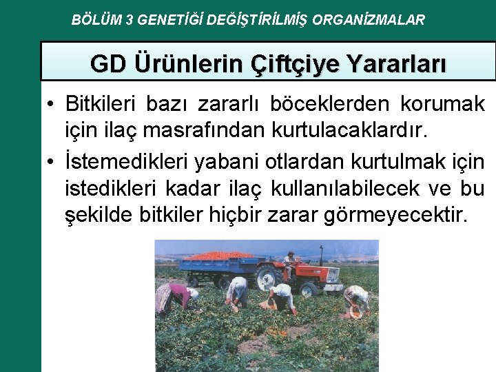 BÖLÜM 3 GENETİĞİ DEĞİŞTİRİLMİŞ ORGANİZMALAR GD Ürünlerin Çiftçiye Yararları • Bitkileri bazı zararlı böceklerden