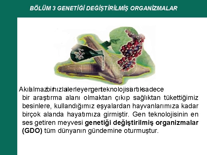 BÖLÜM 3 GENETİĞİ DEĞİŞTİRİLMİŞ ORGANİZMALAR Akılalmazbirhızlailerleyengenteknolojisiartıksadece bir araştırma alanı olmaktan çıkıp sağlıktan tükettiğimiz besinlere,