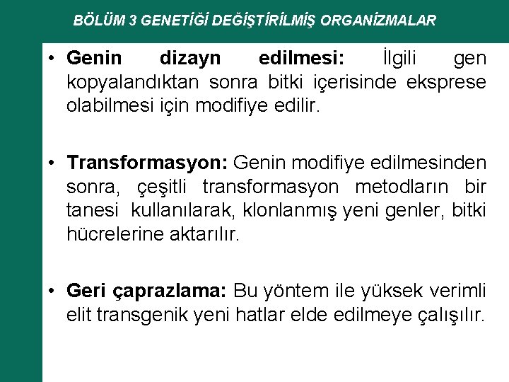 BÖLÜM 3 GENETİĞİ DEĞİŞTİRİLMİŞ ORGANİZMALAR • Genin dizayn edilmesi: İlgili gen kopyalandıktan sonra bitki