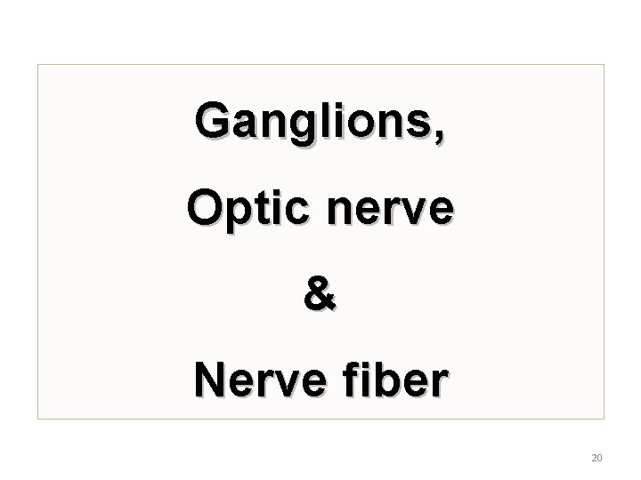 Ganglions, Optic nerve & Nerve fiber 20 