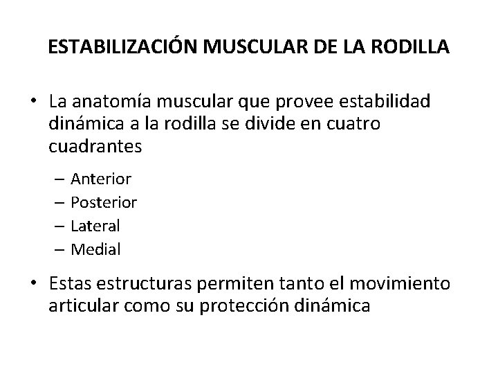 ESTABILIZACIÓN MUSCULAR DE LA RODILLA • La anatomía muscular que provee estabilidad dinámica a