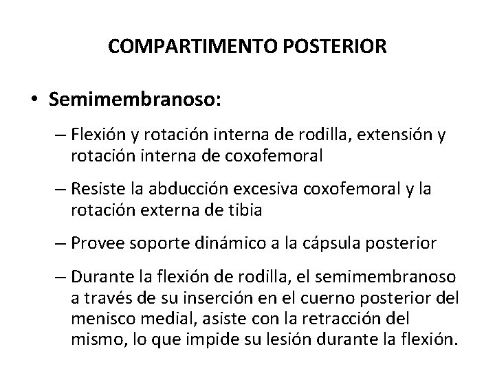 COMPARTIMENTO POSTERIOR • Semimembranoso: – Flexión y rotación interna de rodilla, extensión y rotación