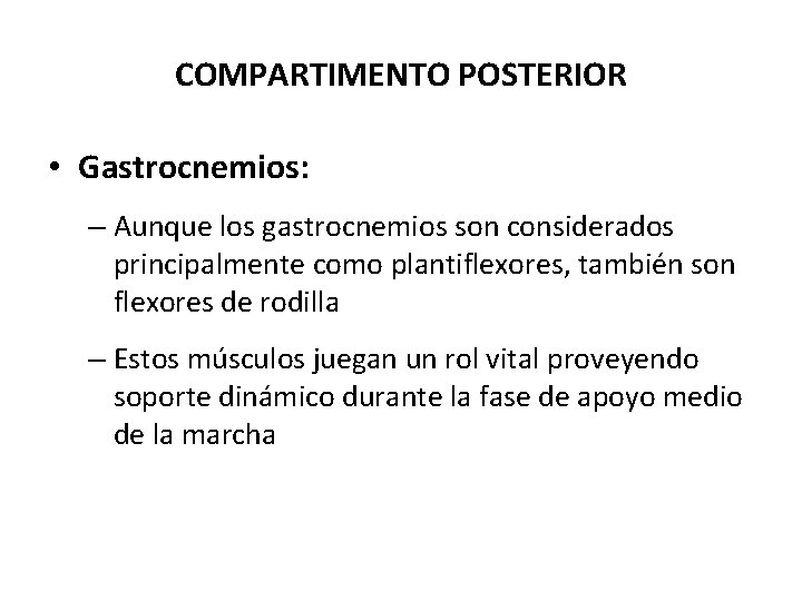 COMPARTIMENTO POSTERIOR • Gastrocnemios: – Aunque los gastrocnemios son considerados principalmente como plantiflexores, también