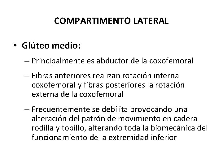 COMPARTIMENTO LATERAL • Glúteo medio: – Principalmente es abductor de la coxofemoral – Fibras