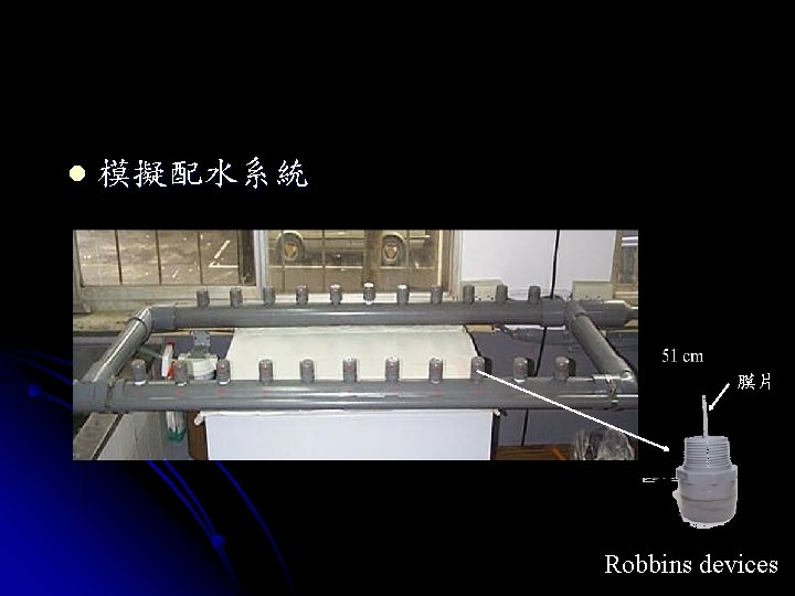 l 模擬配水系統 膜片 Robbins devices 