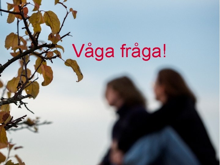 Våga fråga! 