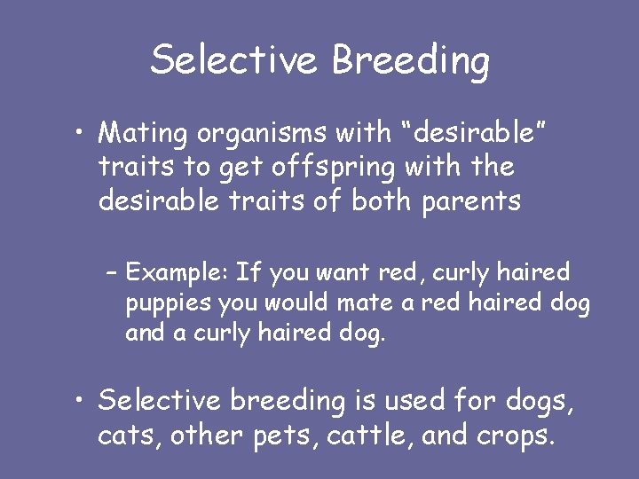 Selective Breeding • Mating organisms with “desirable” traits to get offspring with the desirable