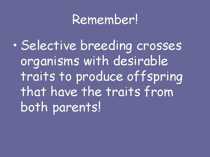 Remember! • Selective breeding crosses organisms with desirable traits to produce offspring that have