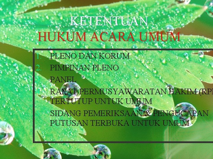 KETENTUAN HUKUM ACARA UMUM 1. 2. 3. 4. PLENO DAN KORUM PIMPINAN PLENO PANEL