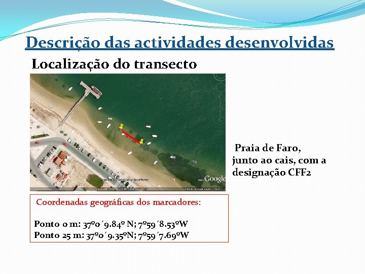 Descrição das actividades desenvolvidas Localização do transecto Praia de Faro, junto ao cais, com