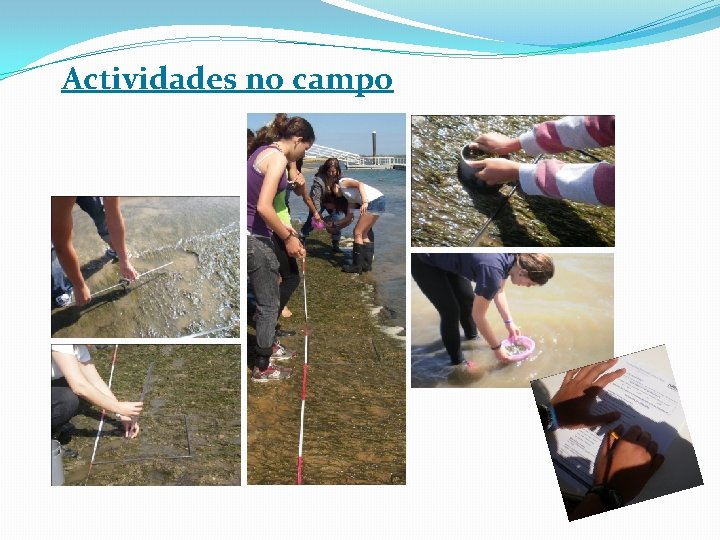 Actividades no campo 