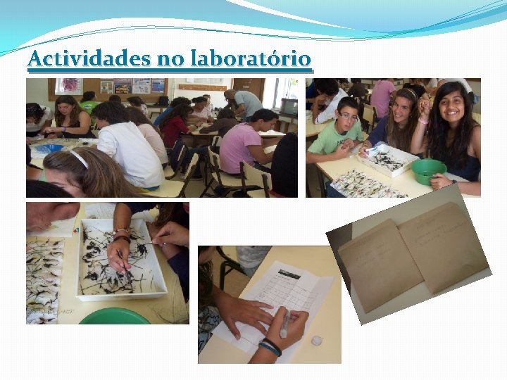 Actividades no laboratório 