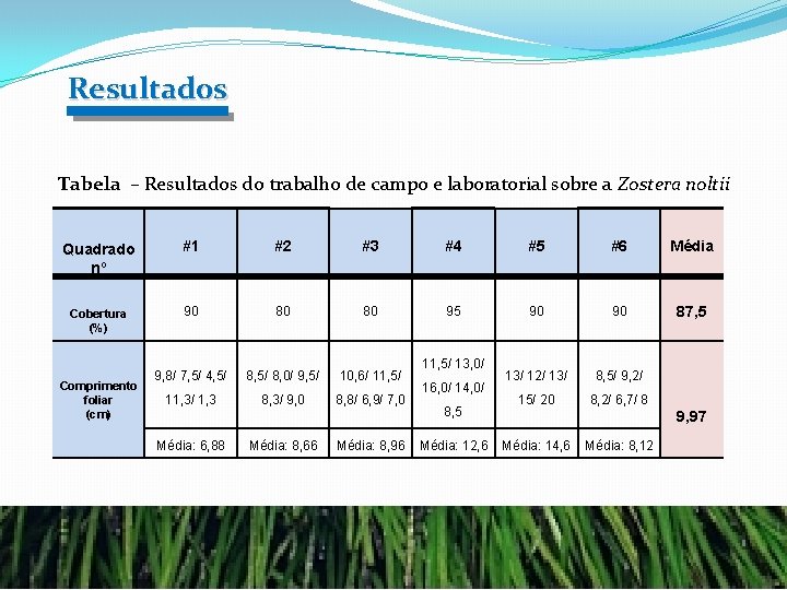 Resultad 0 s Tabela – Resultados do trabalho de campo e laboratorial sobre a