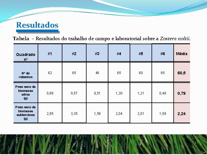 Resultad 0 s Tabela – Resultados do trabalho de campo e laboratorial sobre a