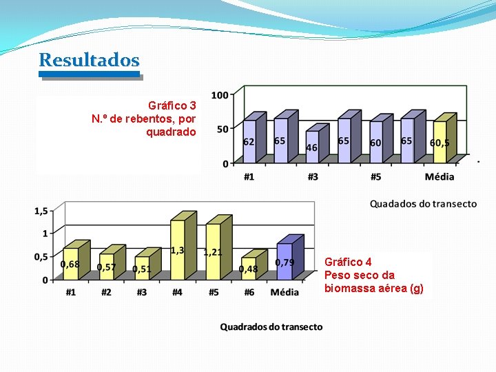 Resultad 0 s Gráfico 3 N. º de rebentos, por quadrado Gráfico 4 Peso