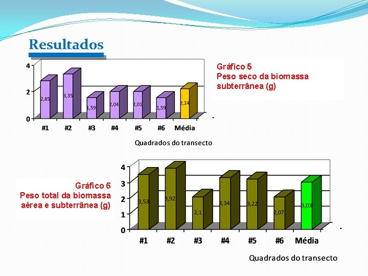 Resultad 0 s Gráfico 5 Peso seco da biomassa subterrânea (g) Gráfico 6 Peso