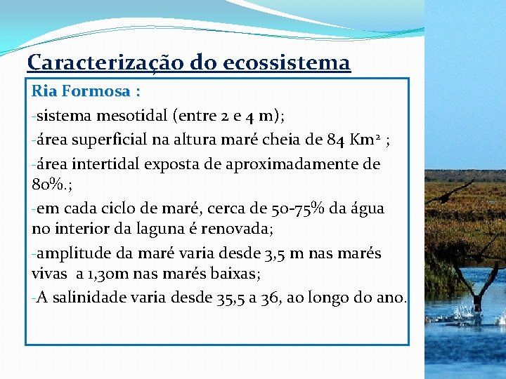 Caracterização do ecossistema Ria Formosa : -sistema mesotidal (entre 2 e 4 m); -área