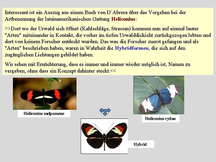 Interessant ist ein Auszug aus einem Buch von D`Abrera über das Vorgehen bei der Interessant ist ein Auszug aus einem Buch von D`Abrera über das Vorgehen bei der