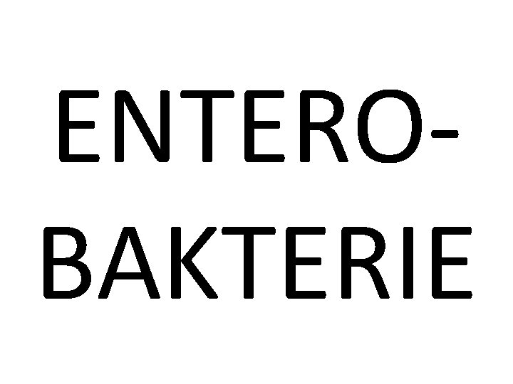 ENTEROBAKTERIE 