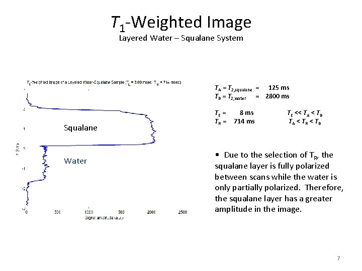 T 1 -Weighted Image Layered Water – Squalane System TA = T 2, squalane