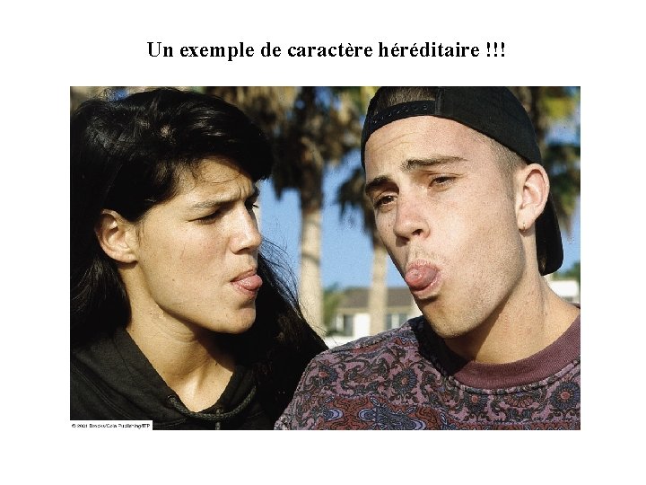 Un exemple de caractère héréditaire !!! 