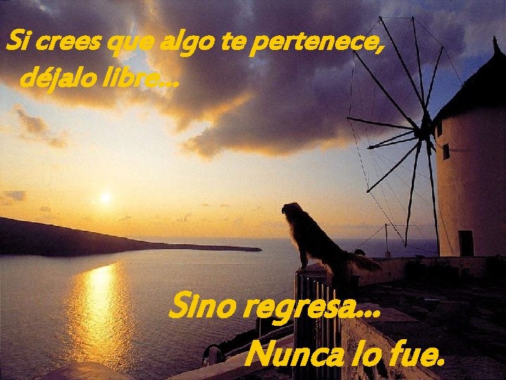 Si crees que algo te pertenece, déjalo libre… Sino regresa… Nunca lo fue. 