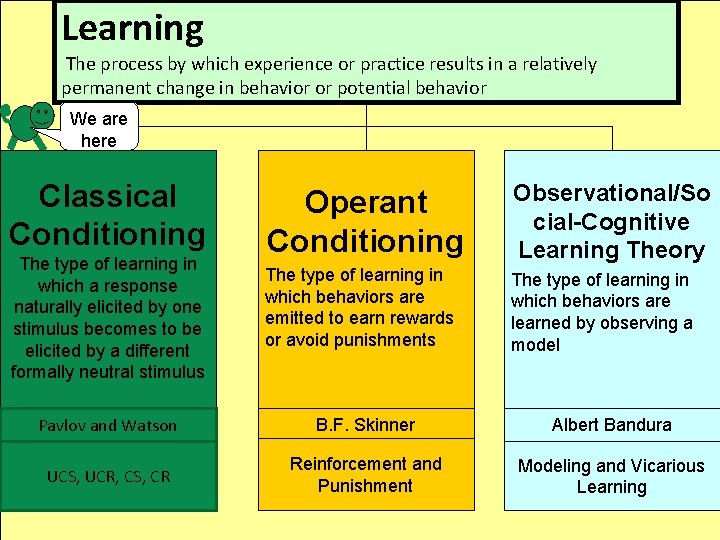 Learning The process by which experience or practice results in a relatively permanent change