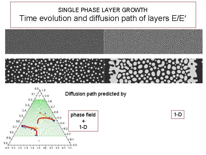 SINGLE PHASE LAYER GROWTH Time evolution and diffusion path of layers E/E Diffusion path