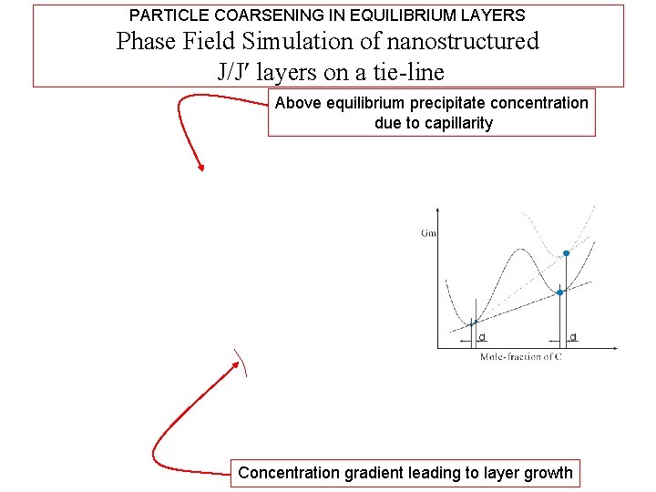 PARTICLE COARSENING IN EQUILIBRIUM LAYERS Phase Field Simulation of nanostructured J/J layers on a