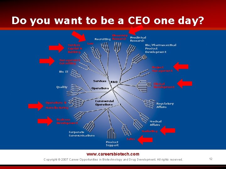 Do you want to be a CEO one day? Venture Capital & Banking Law