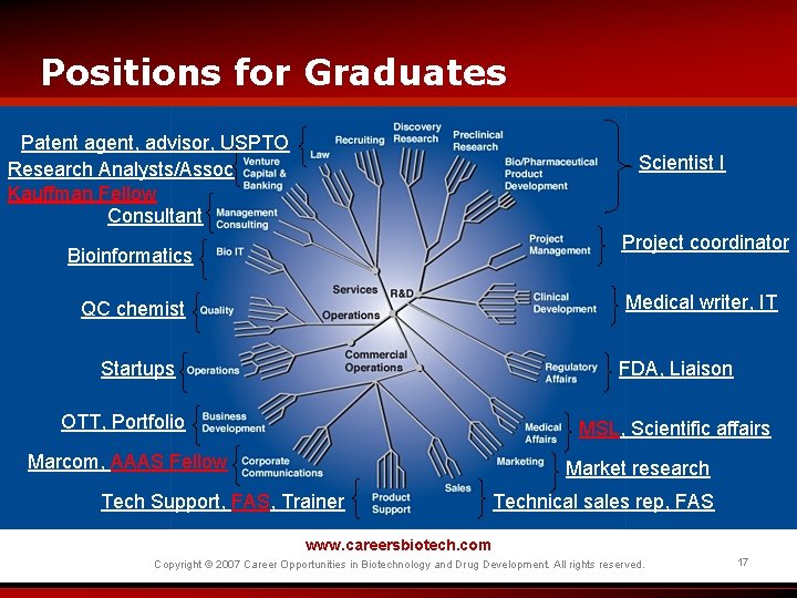 Positions for Graduates Patent agent, advisor, USPTO Research Analysts/Assoc Kauffman Fellow Consultant Scientist I