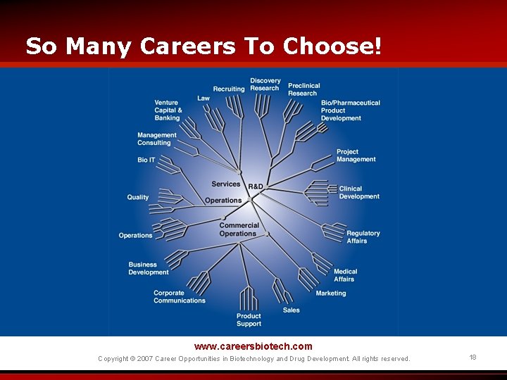So Many Careers To Choose! www. careersbiotech. com Copyright © 2007 Career Opportunities in