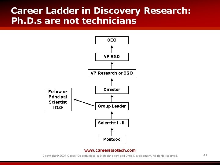 Career Ladder in Discovery Research: Ph. D. s are not technicians CEO VP R&D