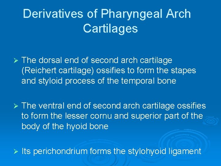 Derivatives of Pharyngeal Arch Cartilages Ø The dorsal end of second arch cartilage (Reichert