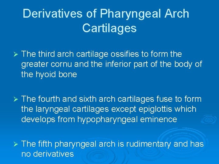 Derivatives of Pharyngeal Arch Cartilages Ø The third arch cartilage ossifies to form the