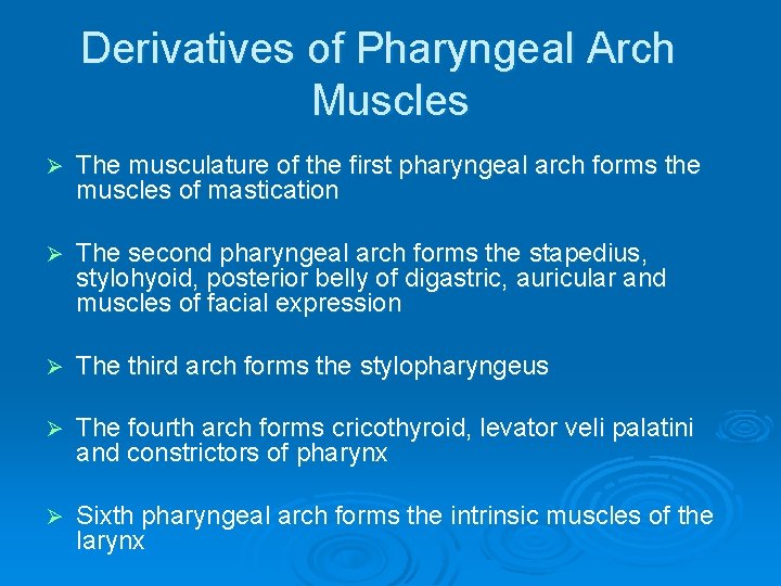 Derivatives of Pharyngeal Arch Muscles Ø The musculature of the first pharyngeal arch forms