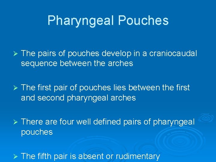 Pharyngeal Pouches Ø The pairs of pouches develop in a craniocaudal sequence between the