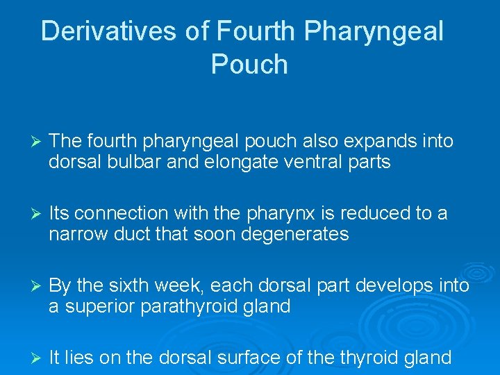 Derivatives of Fourth Pharyngeal Pouch Ø The fourth pharyngeal pouch also expands into dorsal