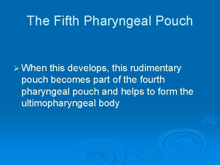 The Fifth Pharyngeal Pouch Ø When this develops, this rudimentary pouch becomes part of