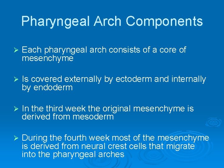 Pharyngeal Arch Components Ø Each pharyngeal arch consists of a core of mesenchyme Ø