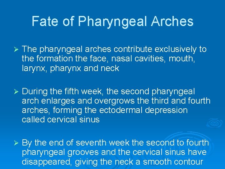 Fate of Pharyngeal Arches Ø The pharyngeal arches contribute exclusively to the formation the
