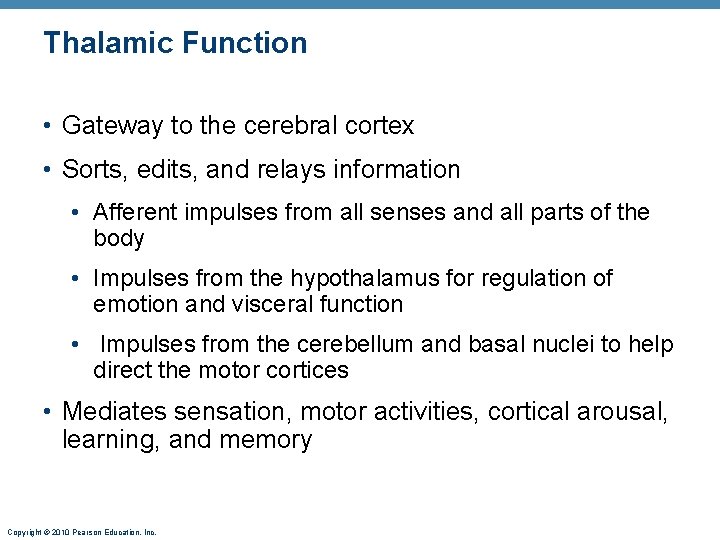 Thalamic Function • Gateway to the cerebral cortex • Sorts, edits, and relays information