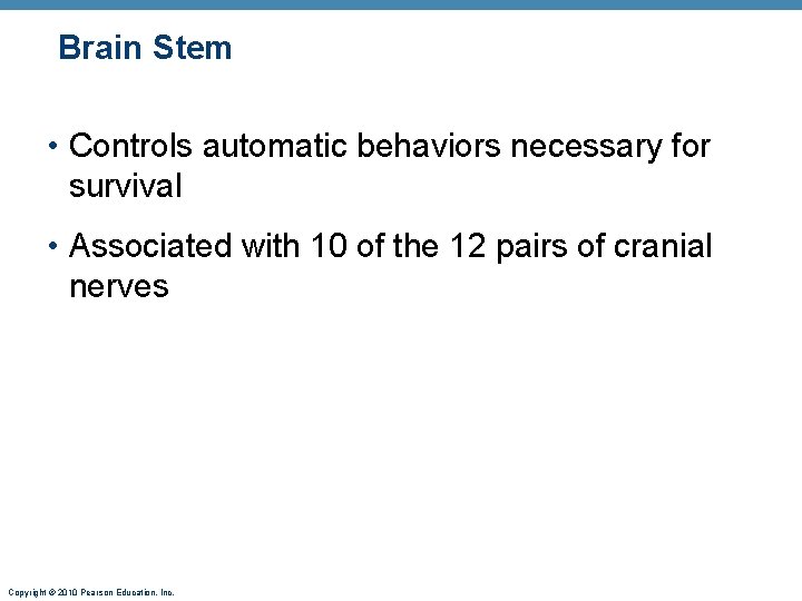  Brain Stem • Controls automatic behaviors necessary for survival • Associated with 10