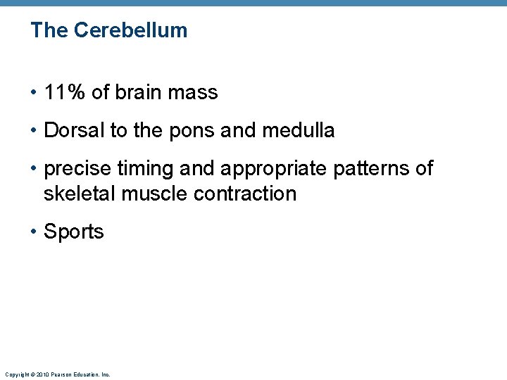 The Cerebellum • 11% of brain mass • Dorsal to the pons and medulla