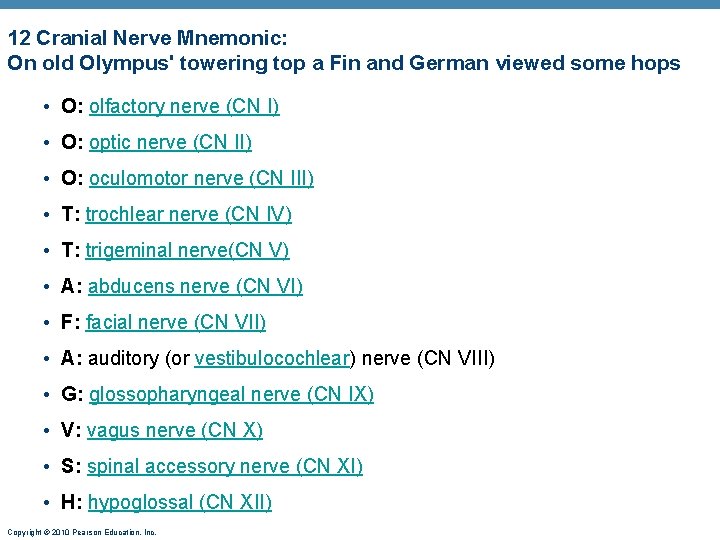 12 Cranial Nerve Mnemonic: On old Olympus' towering top a Fin and German viewed