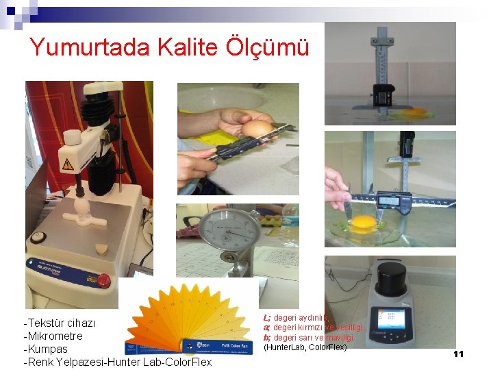 Yumurtada Kalite Ölçümü -Tekstür cihazı -Mikrometre -Kumpas -Renk Yelpazesi-Hunter Lab-Color. Flex L; degeri aydınlık,