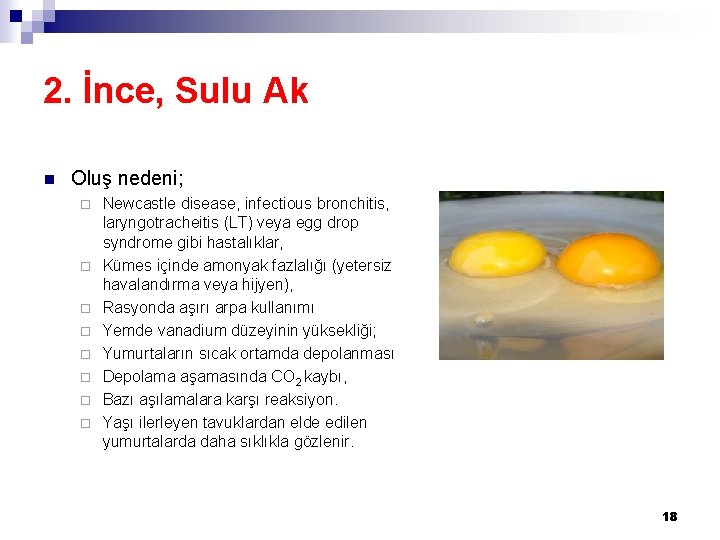 2. İnce, Sulu Ak n Oluş nedeni; ¨ ¨ ¨ ¨ Newcastle disease, infectious