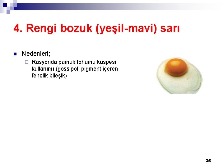 4. Rengi bozuk (yeşil-mavi) sarı n Nedenleri; ¨ Rasyonda pamuk tohumu küspesi kullanımı (gossipol;